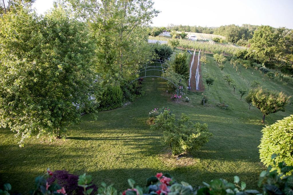 Cascina Papa Mora Villa Cellarengo Exterior photo